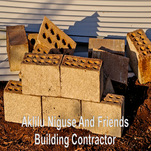 Aklilu Niguse And Friends Building Construction